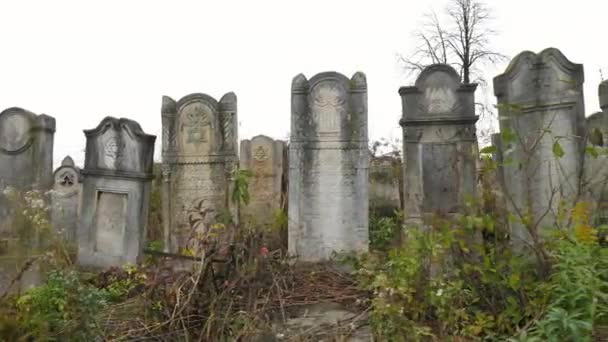 Pohled Starý Židovský Hřbitov — Stock video