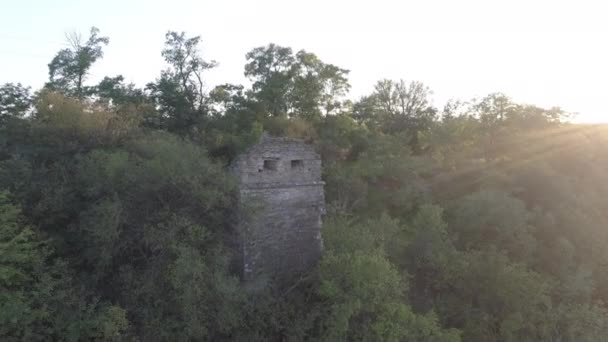 Vernietigde Toren Omringd Door Bomen — Stockvideo