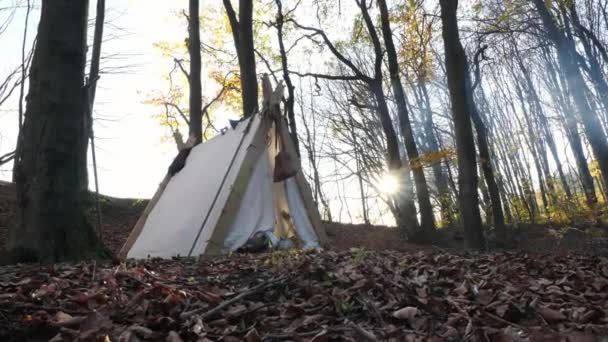 Tenda Tela Vichinga Una Foresta — Video Stock