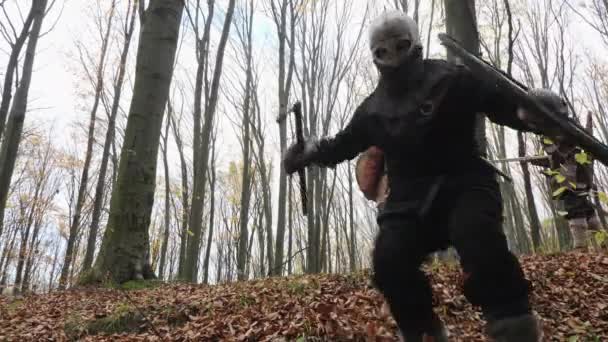 Viking Harcosok Ereszkednek Erdőbe — Stock videók