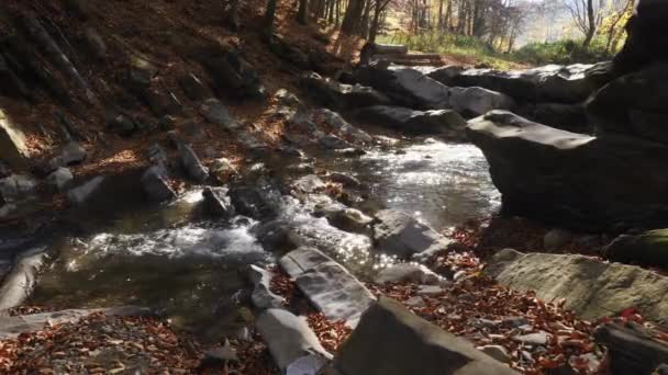 Brillante Agua Que Fluye Través Las Rocas — Vídeos de Stock