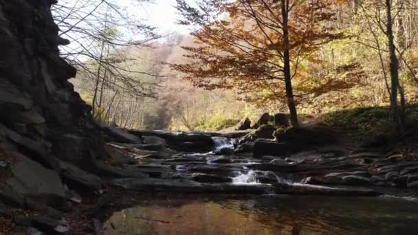 水流过阴凉的岩石 — 图库视频影像