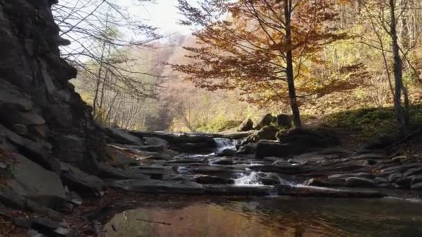 Rivière Ombragée Coulant Travers Les Rochers — Video