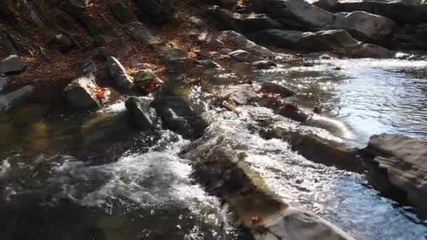 岩を流れる水 — ストック動画