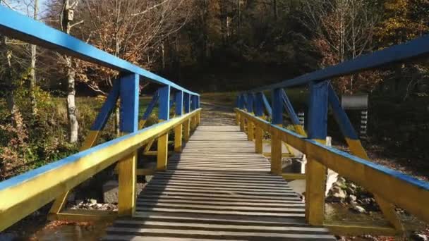 Niebieski Żółty Most — Wideo stockowe