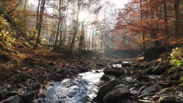 Río Fluyendo Través Las Rocas — Vídeos de Stock