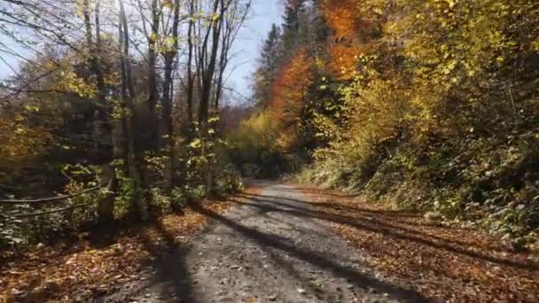 太陽の下での未舗装道路 — ストック動画