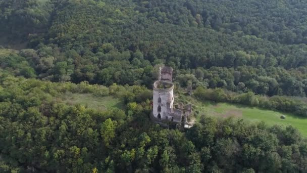 Chervonohorod Kalesi Nin Havadan Görünüşü — Stok video