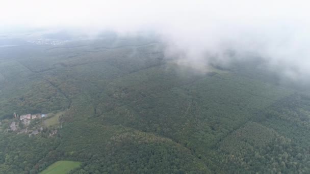 森林和云彩的空中 — 图库视频影像