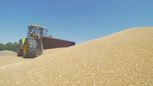 Low Angle Bucket Loader — Wideo stockowe