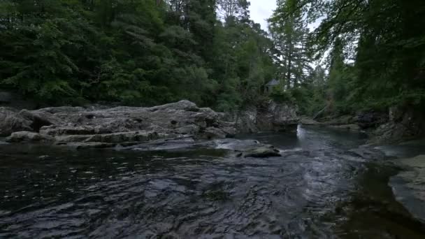 Footage River Flowing — Stock video