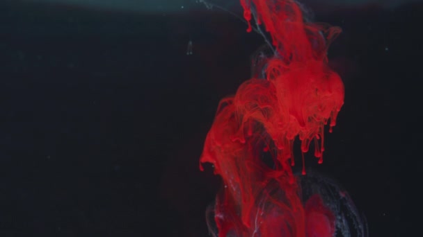 水の中の赤いインク — ストック動画
