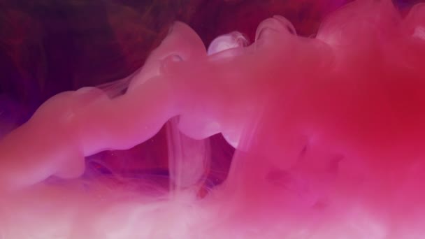 水にピンクのアクリル絵具 — ストック動画