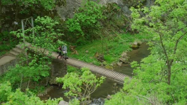 High Angle View Couple Walking Bridge — Stock Video