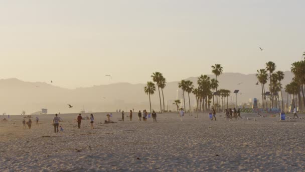 People Walking Beach — Stock Video