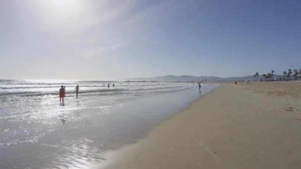 Plage Par Une Journée Ensoleillée — Video