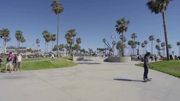 Park Strand Von Venedig — Stockvideo