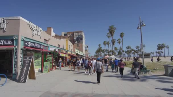 Viele Menschen Gehen Auf Ocean Front Walk — Stockvideo