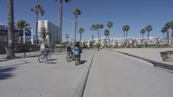 People Riding Bikes United States America — Stock Video