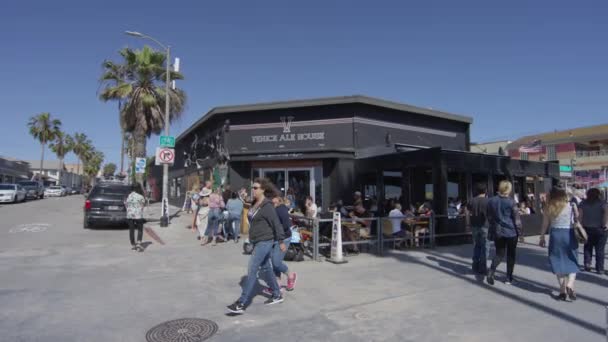 Venice Ale House Amerika Serikat — Stok Video