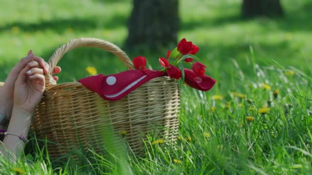 Hände Lehnen Einem Picknickkorb — Stockvideo