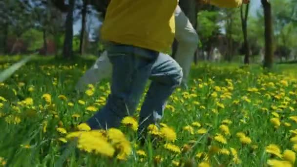 牧草地を走る父と子 — ストック動画