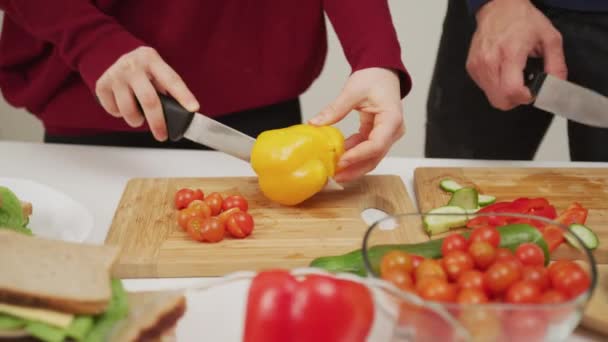 Mãos Que Cortam Verduras Uma Salada — Vídeo de Stock