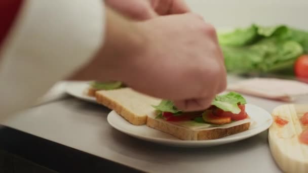 Imagens Fazer Dois Sanduíches — Vídeo de Stock