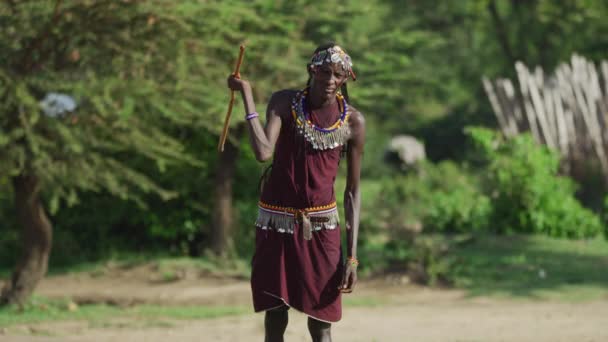 Maasai Muž Házení Dřevěnou Tyč — Stock video