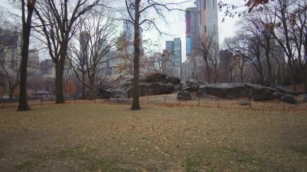 Central Park Avec Rat Rock New York États Unis — Video