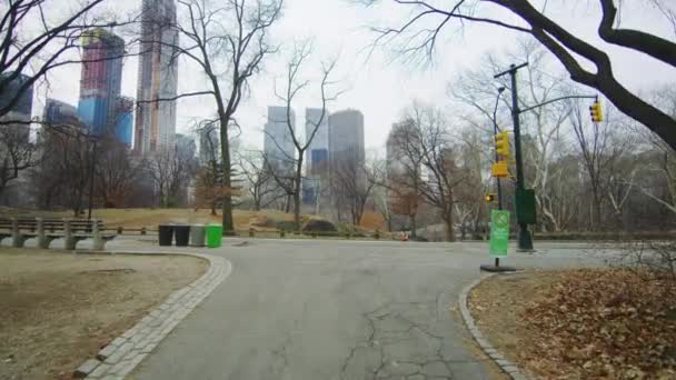 Манхэттен Вид Центрального Парка — стоковое видео