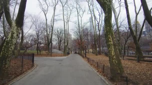 Alleys Central Park Nova York Eua — Vídeo de Stock