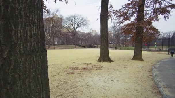 Τμήμα Του Central Park Στη Νέα Υόρκη Ηπα — Αρχείο Βίντεο