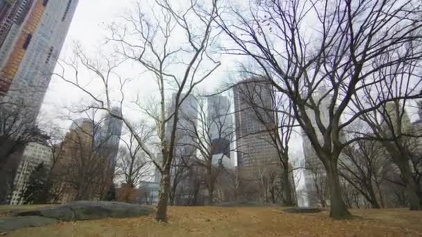 Небоскрёбы Возле Центрального Парка Нью Йорке Сша — стоковое видео