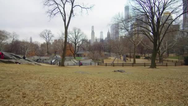 Central Park Manhattan — Vídeos de Stock