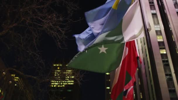 Ondeando Banderas Por Noche Nueva York — Vídeos de Stock