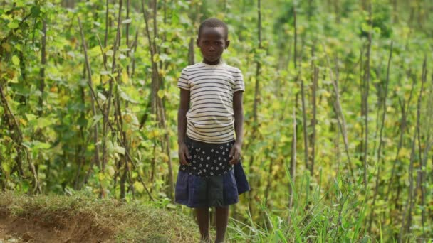 Afrikkalainen Tyttö Seisoo Kentällä Vihreys — kuvapankkivideo