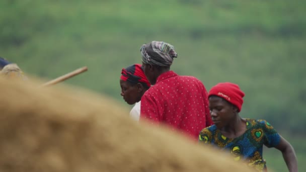 Γυναίκες Της Αφρικής Που Εργάζονται Στη — Αρχείο Βίντεο