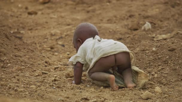 Toddler Crawling Alone Ground Video Clip