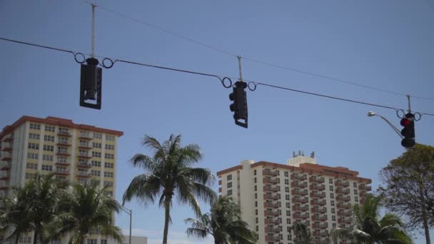 Traffic Lights Palm Trees Buildings — Vídeos de Stock