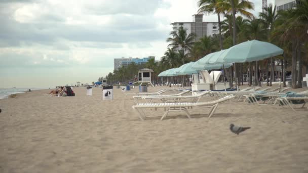 Spiaggia Una Giornata Nuvolosa — Video Stock