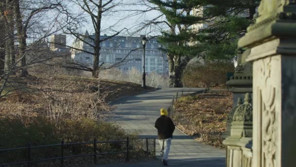 Homem Caminhando Central Park Nova York Eua — Vídeo de Stock