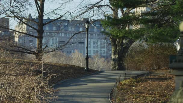 美国纽约州一个公园里的小巷 — 图库视频影像