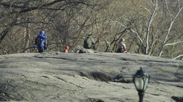 Ξεκουράζεται Στο Rat Rock Στη Νέα Υόρκη Ηπα — Αρχείο Βίντεο