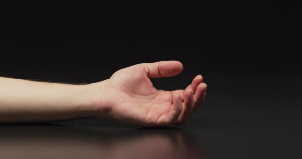 女の手を握る男 — ストック動画