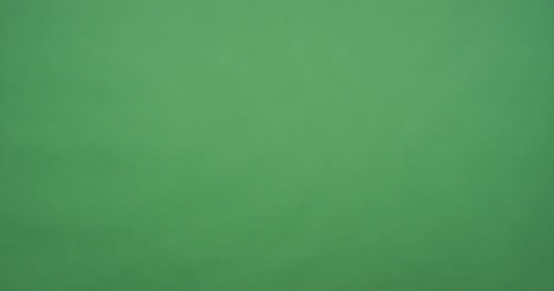 高举绿色的标牌 — 图库视频影像