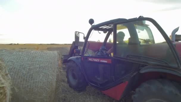 Carrying Hay Bale — Stock Video