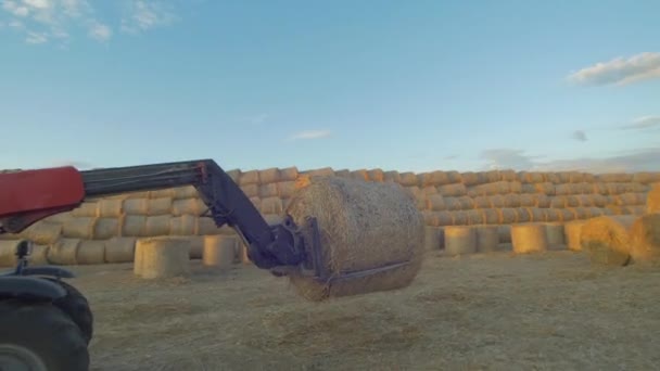 Empiler Des Balles Foin Concept Agricole — Video