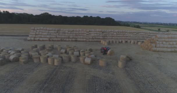 Campo Con Fardos Paja — Vídeos de Stock