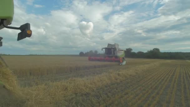 Cosechadoras Trigo Campo — Vídeos de Stock